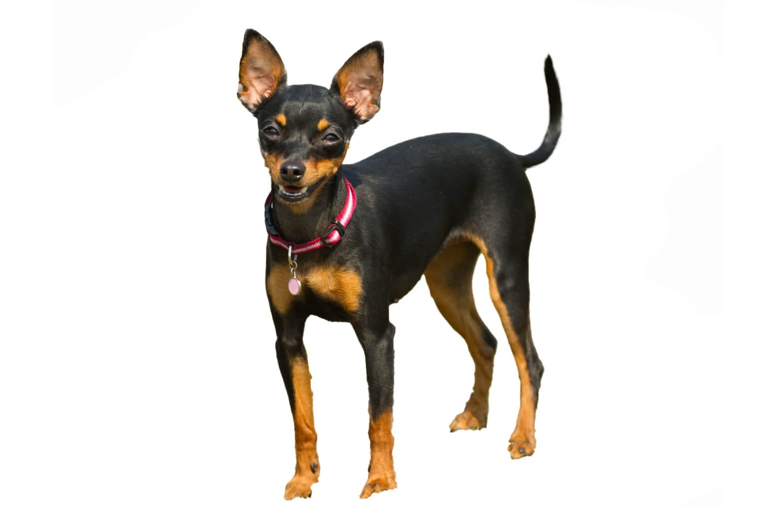 Save draft Publish Change block type or style Move Heading block from position 3 up to position 2 Move Heading block from position 3 down to position 4 Change alignment Change text alignment Displays more block tools Toggle panel: Poopet Setting Poopet Header Settings Poopet Banner Settings Poopet Sidebar Settings Poopet footer Settings Poopet Header Settings Header Source Type Default Elementor Choose Header Styles Header Style 1Header Style 2Header Style 3 Toggle panel: poopet Post Setting Meta image No media selected Upload Post